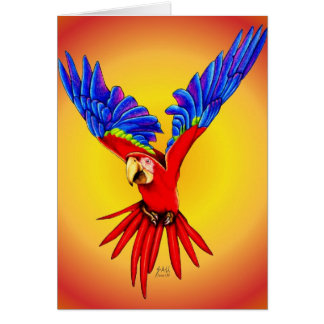 Where Am I Suppose To Land