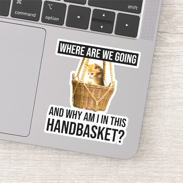 Where Are We Going & Why Am I In This Handbasket? (Detail)