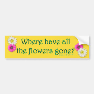 Where? Bumper Sticker