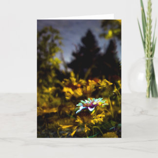 where dreams may come card