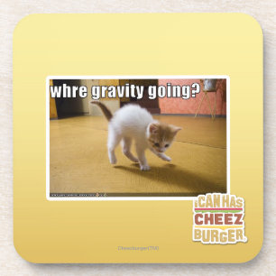 Where gravity going? coaster