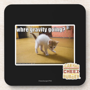 Where gravity going? coaster