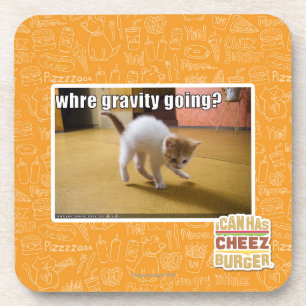 Where gravity going? coaster