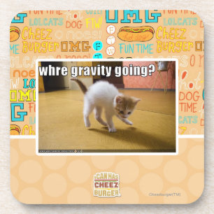 Where gravity going? coaster