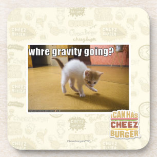 Where gravity going? coaster