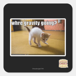 Where gravity going? square sticker