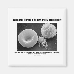 Where Have I Seen This Before? Blood Cells Magnet