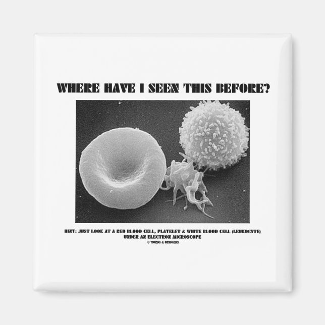 Where Have I Seen This Before? Blood Cells Magnet (Front)