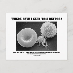 Where Have I Seen This Before? Blood Cells Postcard