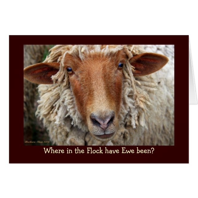 Where in the Flock have Ewe been? (Front Horizontal)