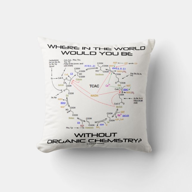 Where In The World Would You Be Organic Chemistry? Cushion (Front)