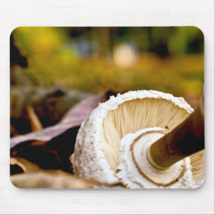 Where is Alice? Mushroom Still Life Mouse Pad