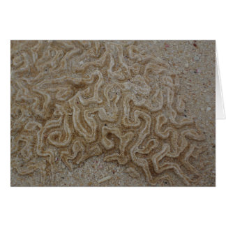 Where is your Brain?