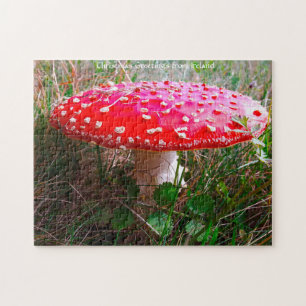 Where Leprechauns or where the little people Live. Jigsaw Puzzle