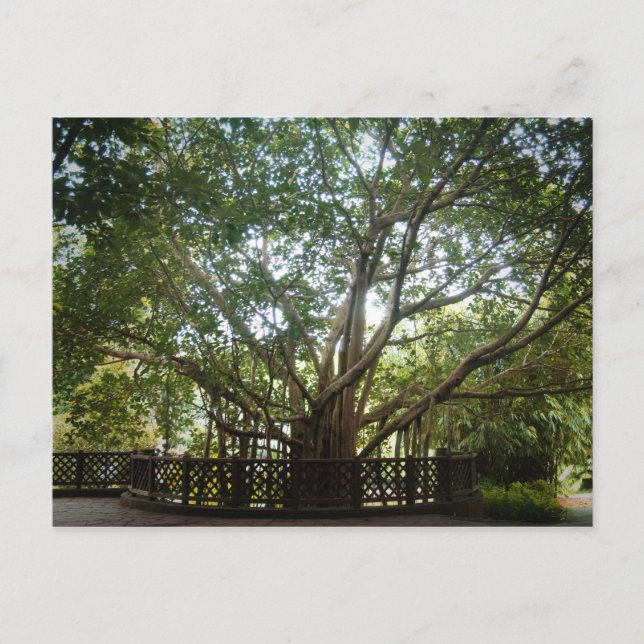 Where Life Begins Postcard (Front)