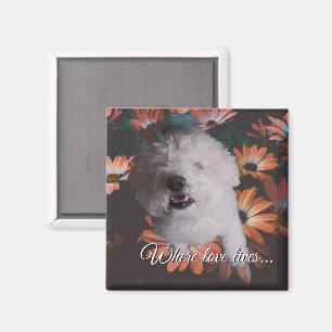 Where Love Lives Magnet