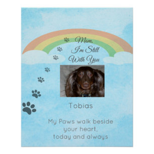 Where Love Still Shines Through Poster