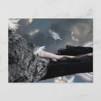 Where Only Angels Wander Postcard