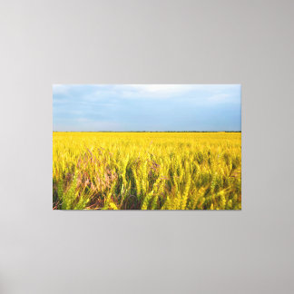 Where the Wheat Dances with the Wind - Wild Nature Canvas Print