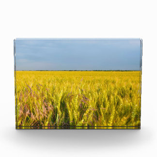 Where the Wheat Dances with the Wind - Wild Nature Photo Block