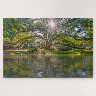 Where The Willow Tree Grows Jigsaw Puzzle