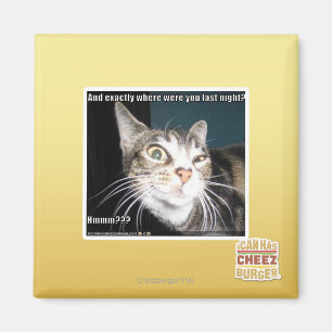 Where were you magnet