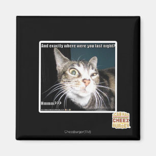 Where were you magnet