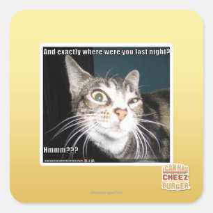 Where were you square sticker