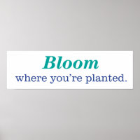 Where You're Planted