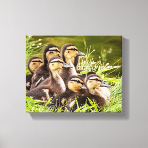 Where's Mum? Canvas Print