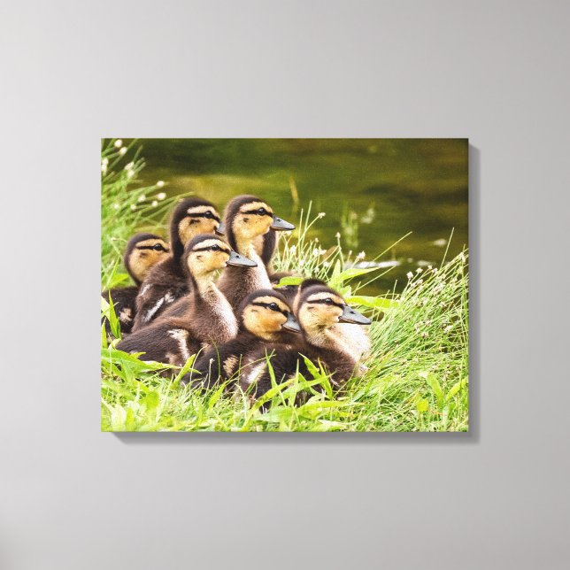 Where's Mum? Canvas Print (Front)