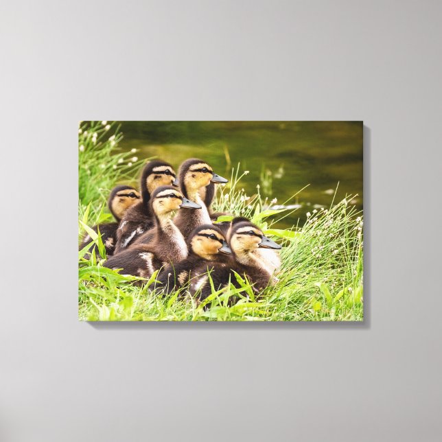 Where's Mum? Canvas Print (Front)