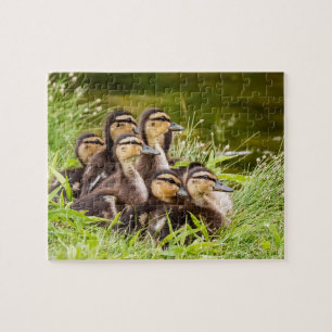 Where's Mum? Jigsaw Puzzle