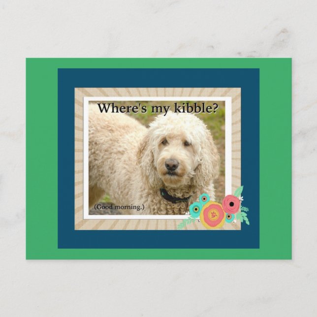 Where's My Kibble, Good Morning Postcard (Front)