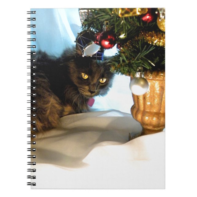 Where's My Presents? Spiral Notebook (Front)