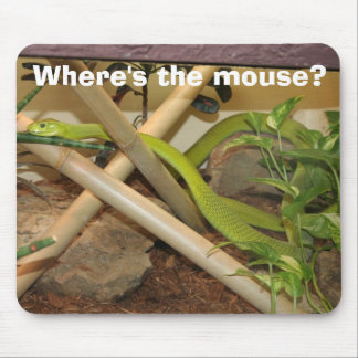 Where's the mouse? mouse pad
