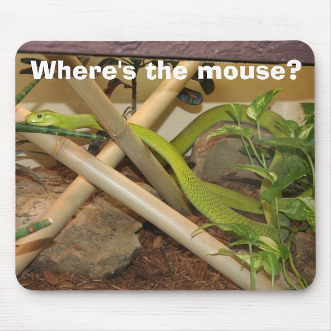 Where's the mouse? mouse pad (Front)