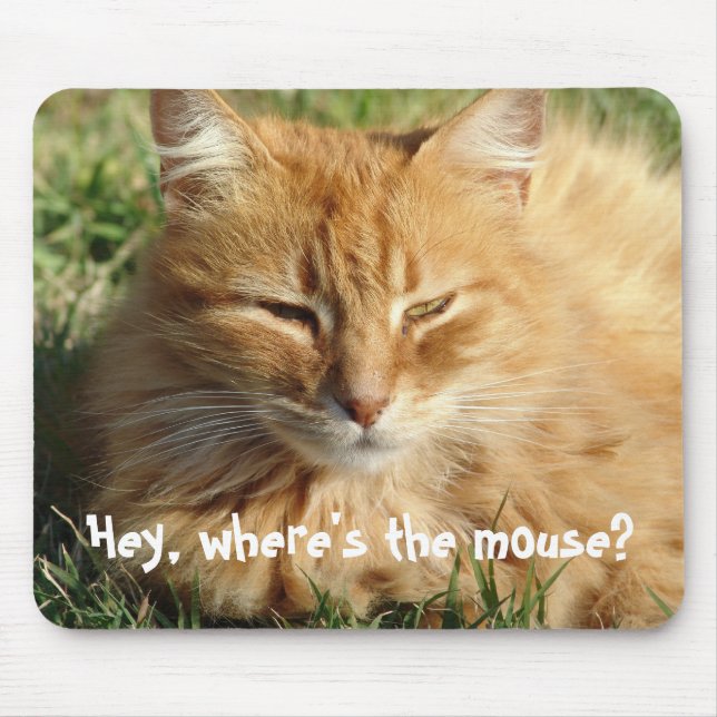 Where's the mouse?. - Mousepad (Front)