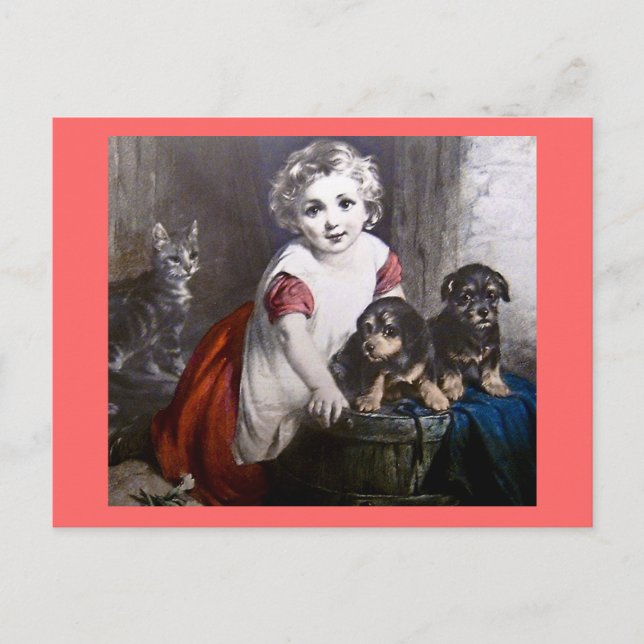 Which do you like?  Magic Lantern Slide Postcard (Front)