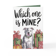 Which One Is Mine | Christmas Holiday Card (5x7)