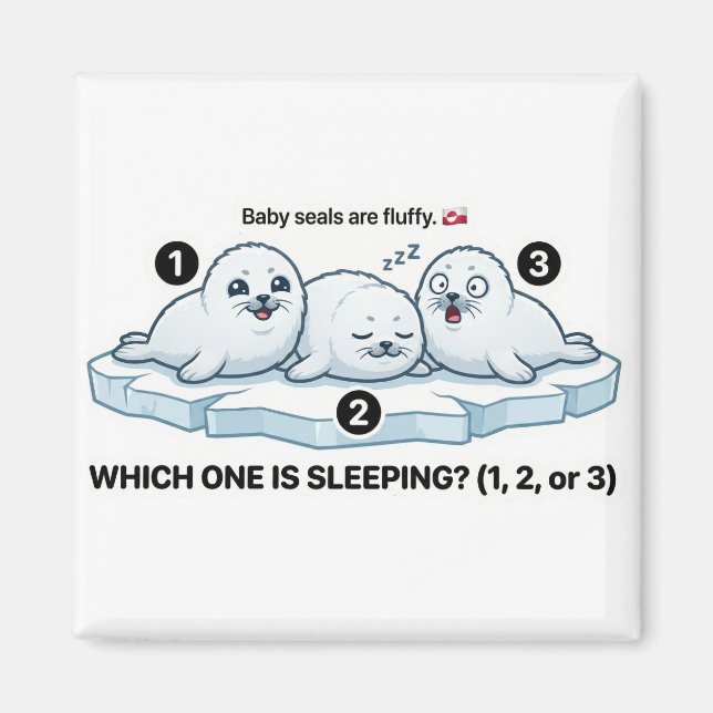 Which One Is Sleeping? – Baby Seal Learning Magnet (Front)