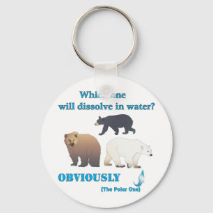 Which one will dissolve in water Polar Chemistry Key Ring