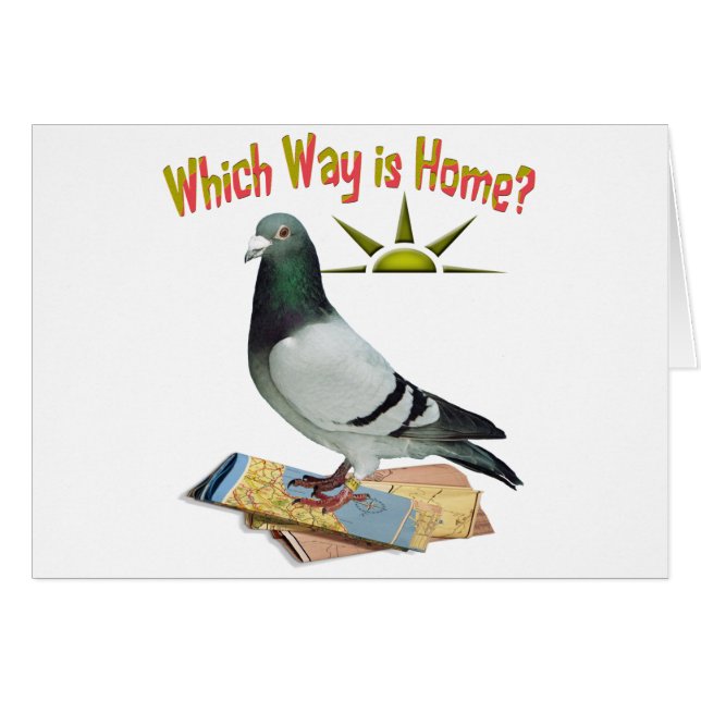 Which Way is Home? Pigeon Art (Front Horizontal)