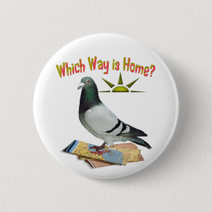 Which Way is Home? Pigeon Art 6 Cm Round Badge