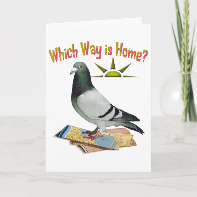 Which Way is Home? Pigeon Art Card (Front)