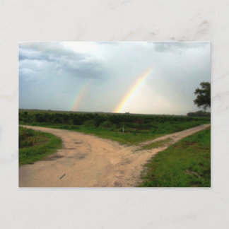 Which way now postcard