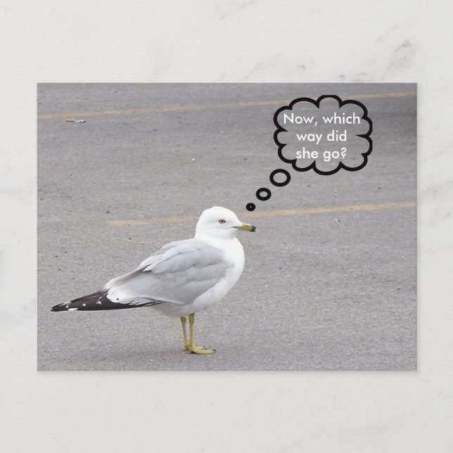 Which way? postcard (Front)