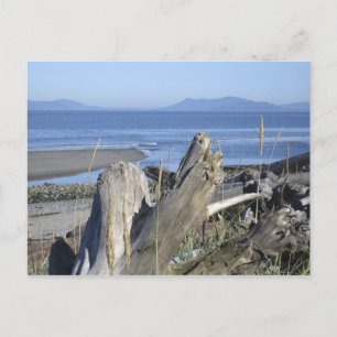 Whidbey Island 4 Postcard