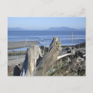 Whidbey Island 4 Postcard