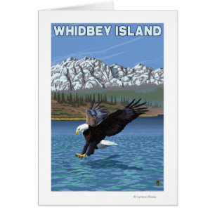 Whidbey Island, WashingtonEagle Fishing